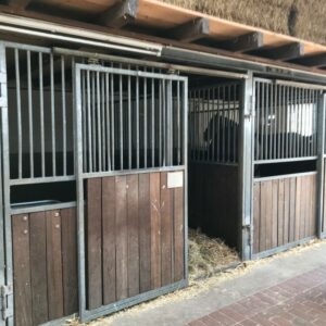 14 Pferdeboxen inclusive Hartholz Konstruktion mit Schwenkfronten